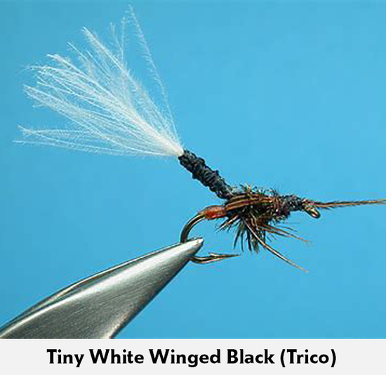 D&R Hand-tied Flies – dog-and-rod