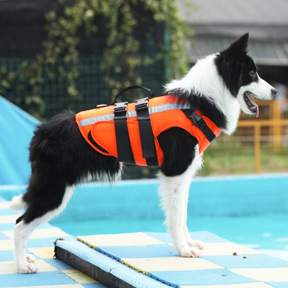 D&R Safety Life Vest